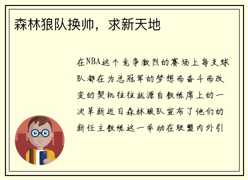 森林狼队换帅，求新天地