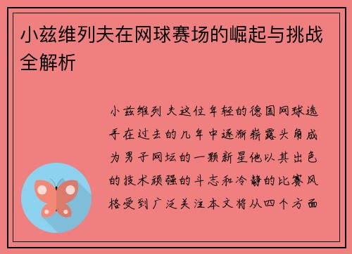 小兹维列夫在网球赛场的崛起与挑战全解析